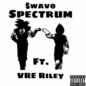 Spectrum (feat. Vre Riley) (Explicit)