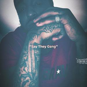 Say They Gang (Explicit)