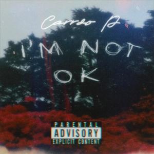 I'm Not Ok (Explicit)