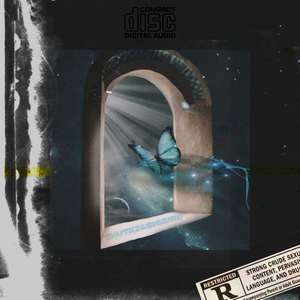 fly through the window