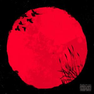 fukk xtc (feat. Vuntrrial) (Explicit)