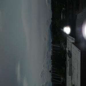 Snake Tales (Explicit)