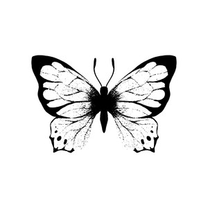 A Morte Da Risada (Explicit)