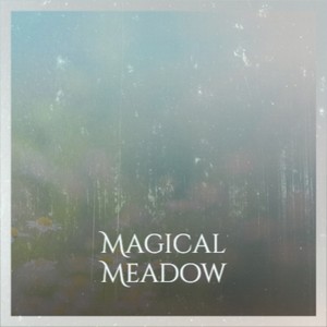 Magical Meadow