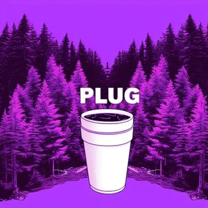 Plug (Explicit)