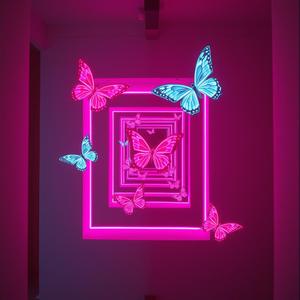 Faded In The Matrix (Pink Butterfly Remix)