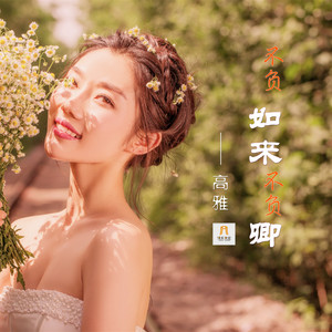 不负如来不负卿 (伴奏)