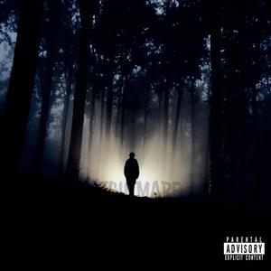 NIGHTMARE (feat. FFEARR) (Explicit)