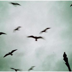 The Meeting Impov #1 (Live)