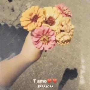 T amo (Explicit)