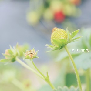 李溢科 - 无因起