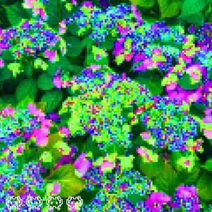 FUKKRIGHTOFF (Explicit)