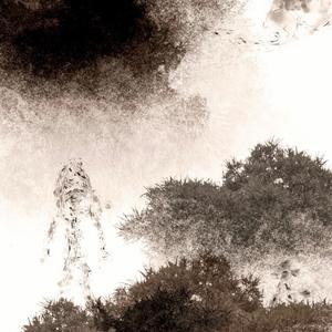 The Listening Ear Is The Cave Of Mystical Knowledge