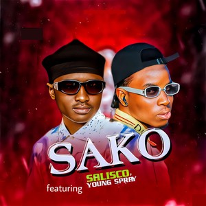 Sako