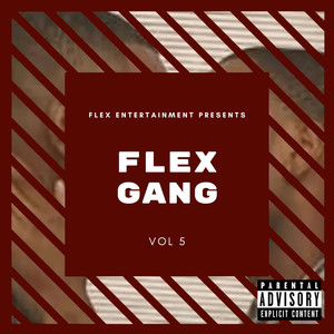 Flex Gang, Vol. 5 (Explicit)