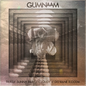 Partly Sunny Partly Cloudy