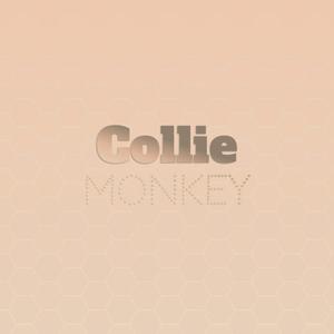 Collie Monkey