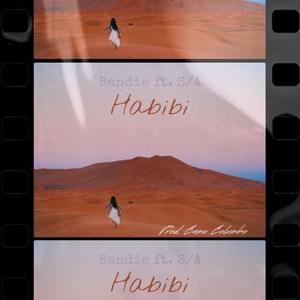 Habibi (feat. S/A)