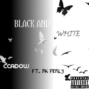 BLACK AND WHITE (feat. BK PERLY) [Explicit]