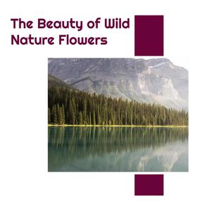 The Beauty of Wild Nature Flowers