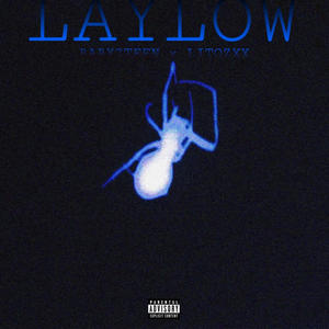 LAYLOW (feat. Litozxx) [Explicit]