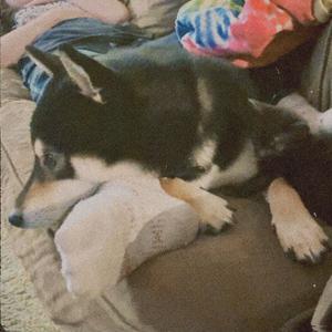 10k Calorie Breakfast/ diabetic n horny.mp3 (Explicit)