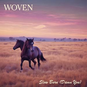 Slow Burn (Damn You) (Explicit)