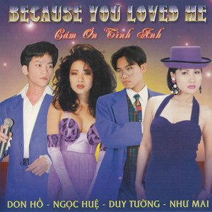 Cám Ơn Tình Anh (Because You Loved Me)