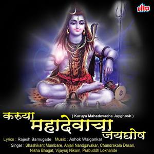 Shiv Lingacha Roop He Sundar Dole