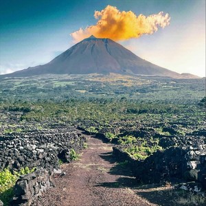 O Silêncio da Paixão