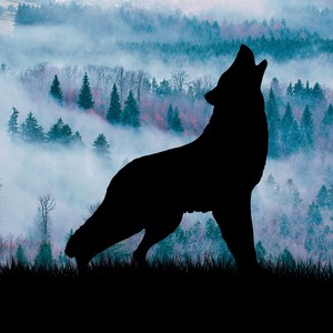 Wolf's Cry