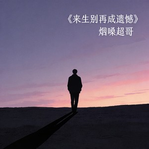 来生别再成遗憾 (破碎版)封面