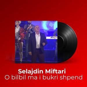 O bilbil ma i bukri shpend