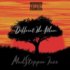 Diffrent The Album (Explicit)