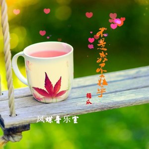 糖瓜 - 等一场花开等一场雨来