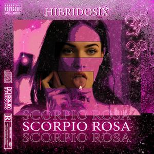 Scorpio Rosa