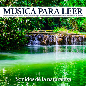 Música tranquila y sonidos de pájaros - Musica para estudiar
