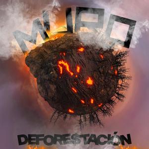 DEFORESTACION