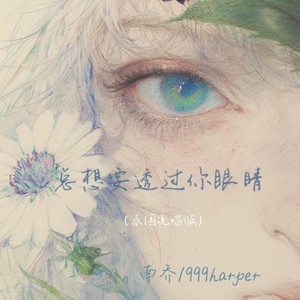 总想要透过你眼睛 (氛围说唱版)