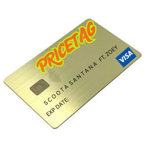 PriceTag (feat. Zoey) (Explicit)