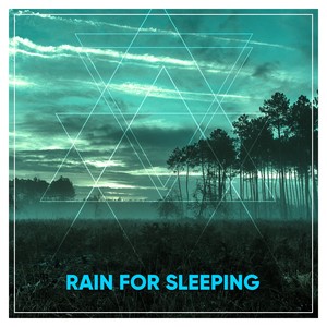 12 Rain Reflection Noises for Sleeping