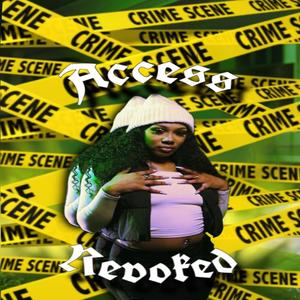 Access Revoked (Explicit)