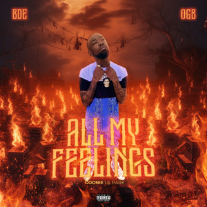 ALL MY FEELINGS (Explicit)