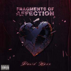 Fragments of Affection (Explicit)