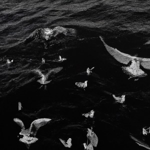 King's Tide: II Movement