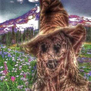 hEyhEllo (feat. KURRT) (Explicit)