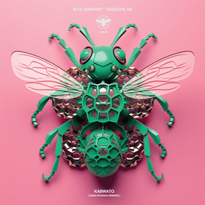 Kabwato (Ewan Pearson Remix)