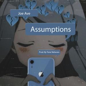 Assumptions