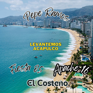 Levantemos Acapulco