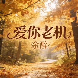 爱你老机